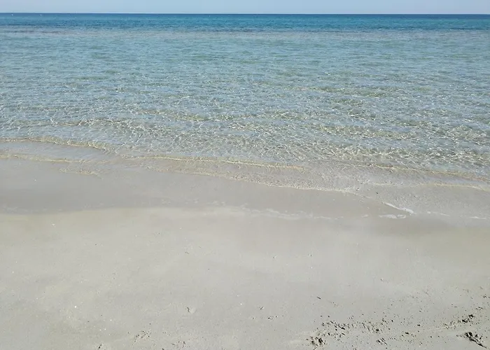 Dimo Dimira-puglia E Salento Daire *